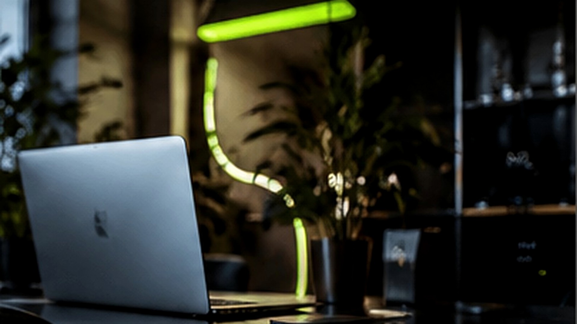 Studio 404 Demo Workspace